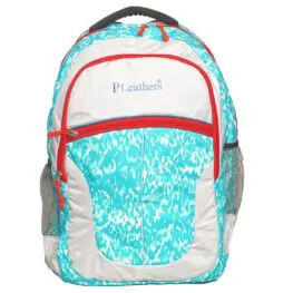 Backpack (20L) 08620