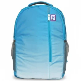 Backpack (22L)  08710