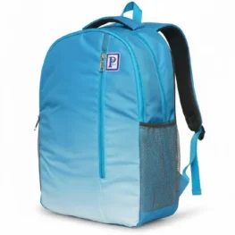 Backpack (22L)  08710